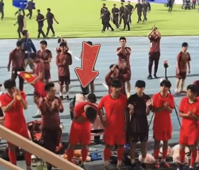 这种双向奔赴，确实令人动容！
