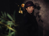 杨紫的“女神”，来客串《玉兰花开君再来》，曾经的迷妹变大女主