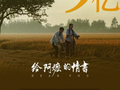 电影《给阿嬷的情书》总票房破9亿