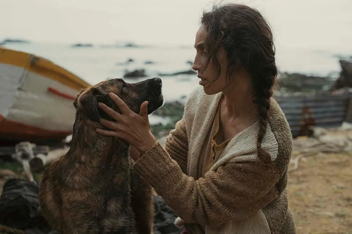 Yuri在《雌犬》中
