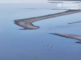 巴彦淖尔湖群鸟嬉戏生机盎然