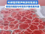 郝熠然治愈金曲与自然奇迹浪漫共振