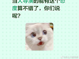 《国乐无双》导演吴彤因直播延迟致歉，如何看待他对节目品质的坚持？