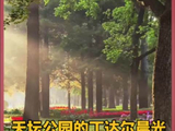 分享天坛公园里的丁达尔晨光，五月遇见@五月天 ，早安顺遂！