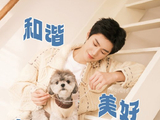 从怕狗少年到狗塑顶流：陈哲远的“狗狗摇”如何治愈全网？