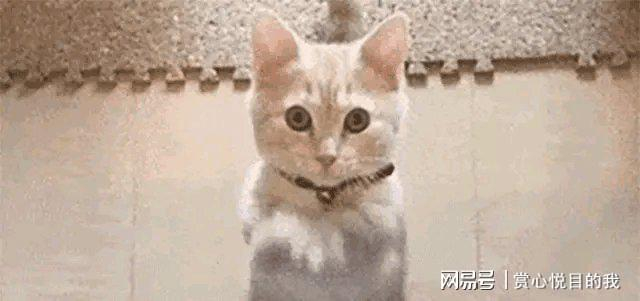 信息来源：