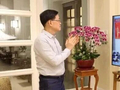 李家超热烈祝贺