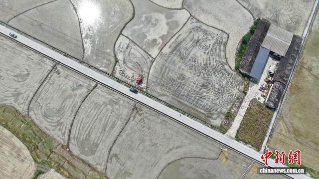 图为连片的高标准农田陆续完成翻耕、灌水，静待插秧。杨林波 摄