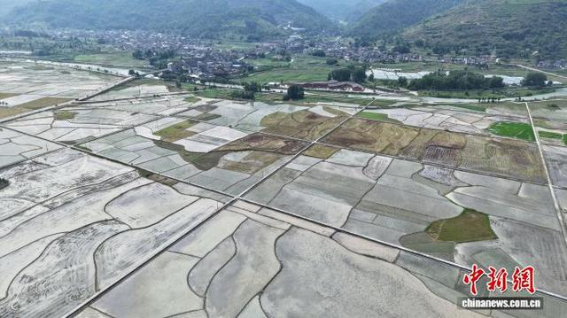 图为连片的高标准农田陆续完成翻耕、灌水，静待插秧。杨林波 摄