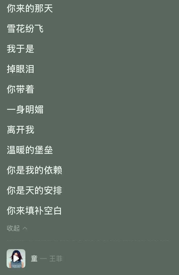 这首《童》收录在王菲1998年发行的专辑《唱游》中，这首歌的词曲作者都是王菲，而编曲是窦唯 / 网易云音乐歌词截图