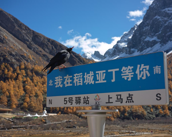稻城亚丁景区内设立的旅游打卡点（摄影：新华社记者薛晨）