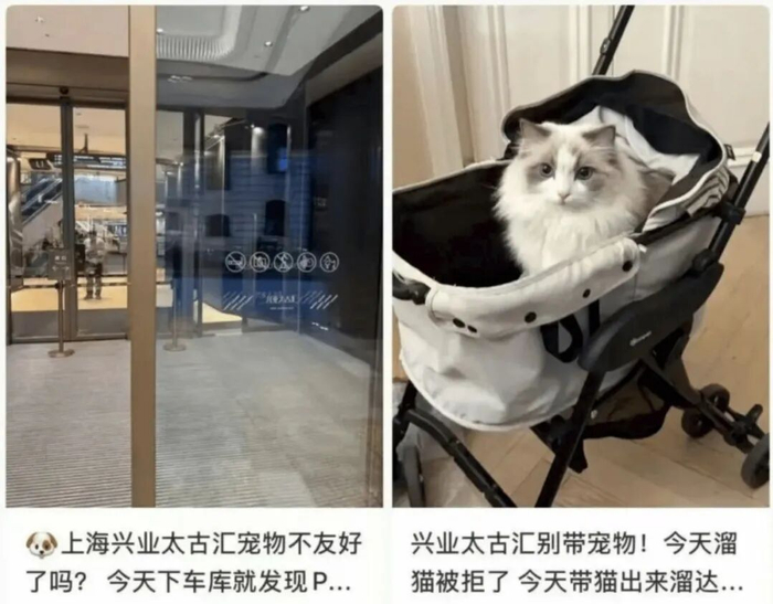 图片来源：网络截图