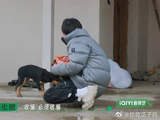 李昊爱心收编流浪狗，陈少熙双手赞成，总算是有家了