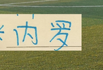申花外援米内罗发文道歉！