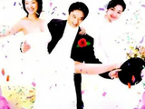 美丽主妇[2006年傅艺伟等主演的电视剧]