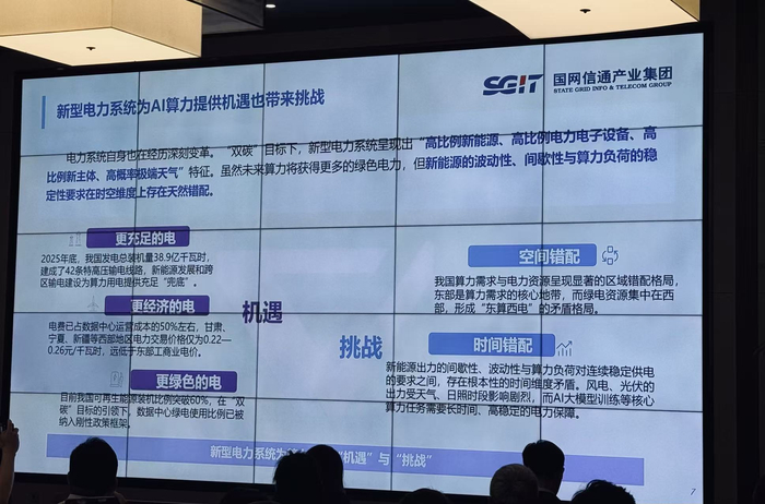 图片拍摄：田鹤琪