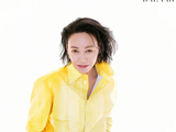 66岁的惠英红目前在演艺圈有哪些新动态？