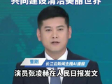张凌赫人民日报海外版发文