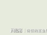 “引导型恋人”，不是偶像剧的真出路