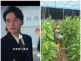 受到AI冲击 真人短剧“霸道总裁”张小磊回家种地