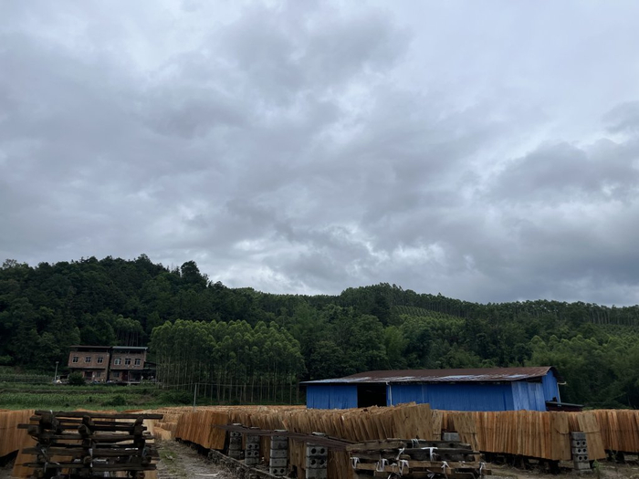 远处便是事发前零工们套种红薯的山头。