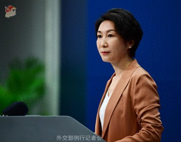 毛宁 资料图。图源：外交部网站
