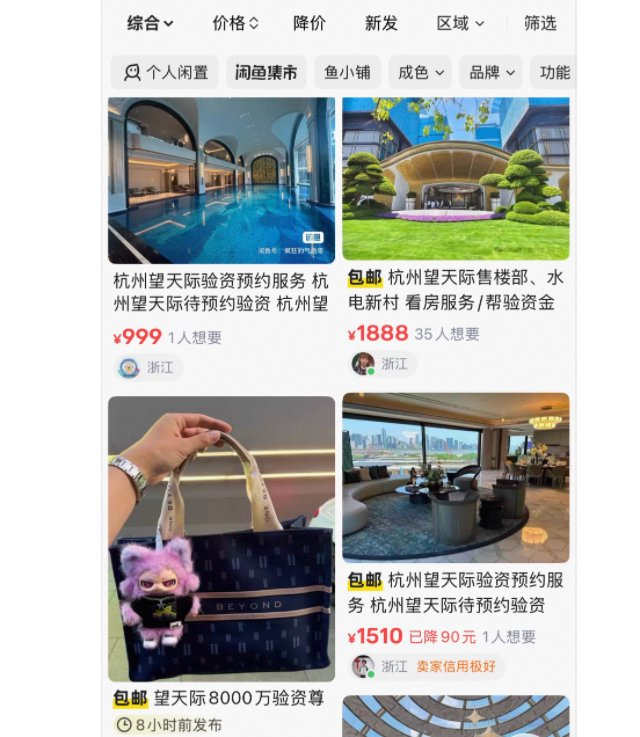 杭州顶级豪宅验资8000万，有人闲鱼1888元“卖”看房资格|杭州楼市|杭州市|浙江省|帆布包|售楼处_手机新浪网