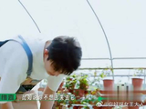 种地团即将离别，李维嘉给李昊开导，都是人生经验