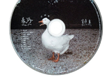 窦靖童的个人音乐历程和首张中文专辑《春游》对她的这次表演有何影响？