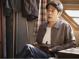 《知否知否应是绿肥红瘦》