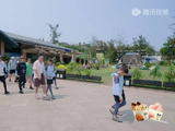 鹿晗获小朋友称赞非常帅