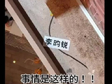 网友偶遇捡到李昀锐奔跑吧名牌