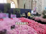 奚梦瑶何猷君婚礼内场曝光 世界古迹城堡好壮观