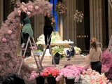 何猷君奚梦瑶圣米歇尔山举办世纪婚礼