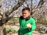 网友质疑高嘉辉日常刷屏内容