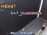我只看到了一只真实的德华小熊