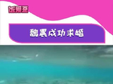 魏晨海底求婚遇乌龙，妻子追鱼忽略钻戒