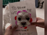 金艺琳 蔚蓝之春徐安娜 260601 yerimiese ins story