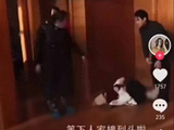 王鹤棣被拍拖着沈月前行，画面引网友热议