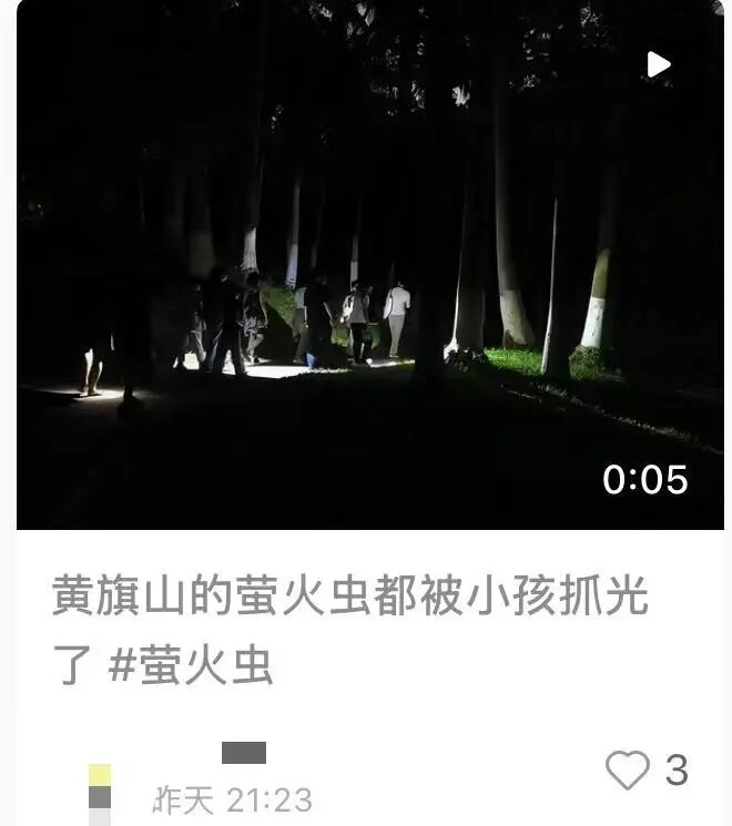 图源 小红书截图