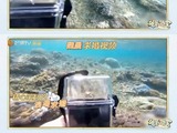 魏晨水下求婚惨遭“翻车”！精心策划半年，老婆却只顾着追鱼