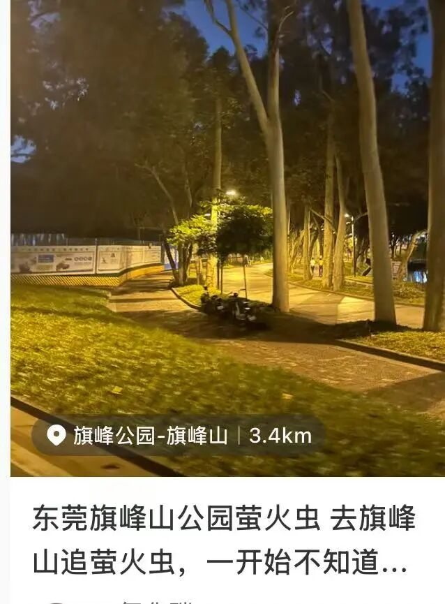 图源 小红书截图