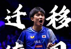  樊振东与张本智和携手登陆德甲赛场！两位顶尖高手的人生轨迹竟惊人重叠