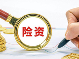 宇树、长鑫IPO背后：险资化身LP抱团出击，密集加码科创股权