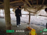赵一博孤身掏鸡窝，太让人着急了