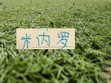 11号米内罗又更新训练照片 去年他可是14场联赛斩获8个球申花米神
