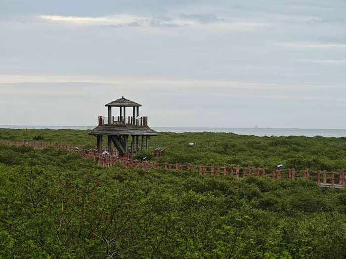 北海金海湾红树林生态保护区 宋荣俊 摄
