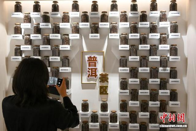 图为6月3日，下关沱茶馆内展示的普洱产区茶叶吸引观众拍照。中新社记者 李嘉娴 摄 