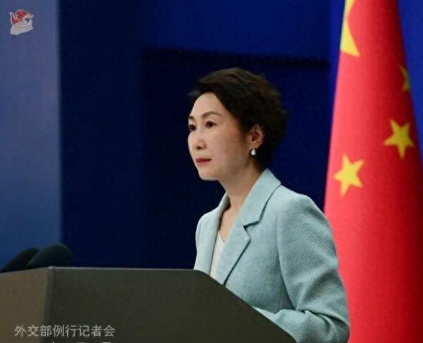 毛宁资料图。图源：外交部网站