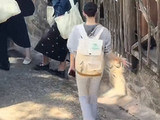 何猷君给的底气，让奚梦瑶不用演豪门阔太_夏日雨季
